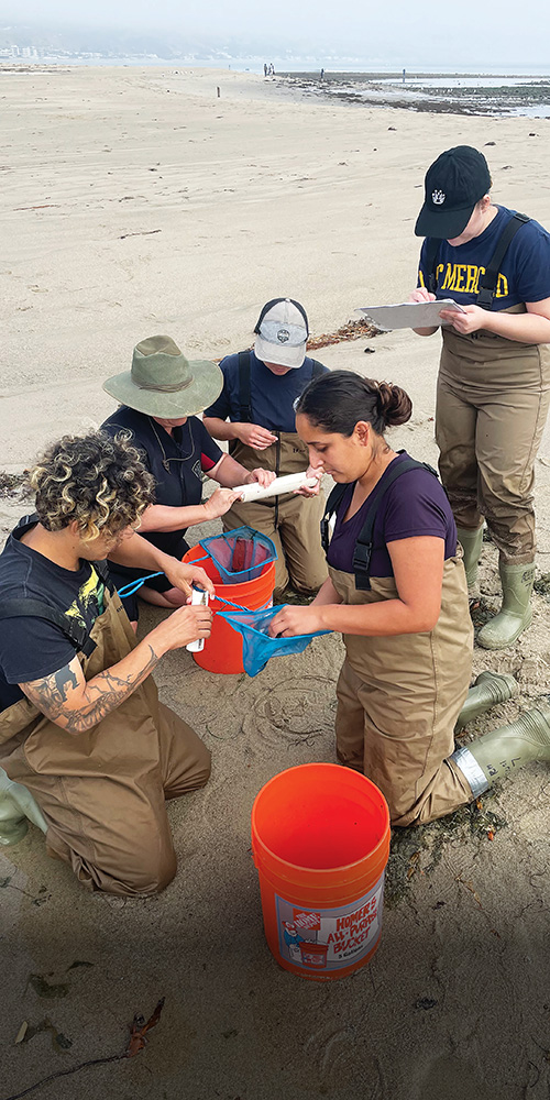 Tidewater Goby Relocation