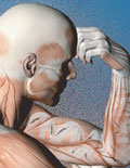 Human body shown in cross-section, with DNA strand