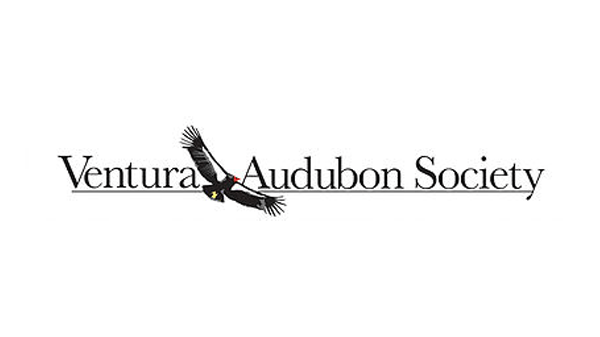 Logo of Ventura Audubon