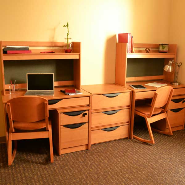 Desk, Bookshelf, & Filing Cabinet Area