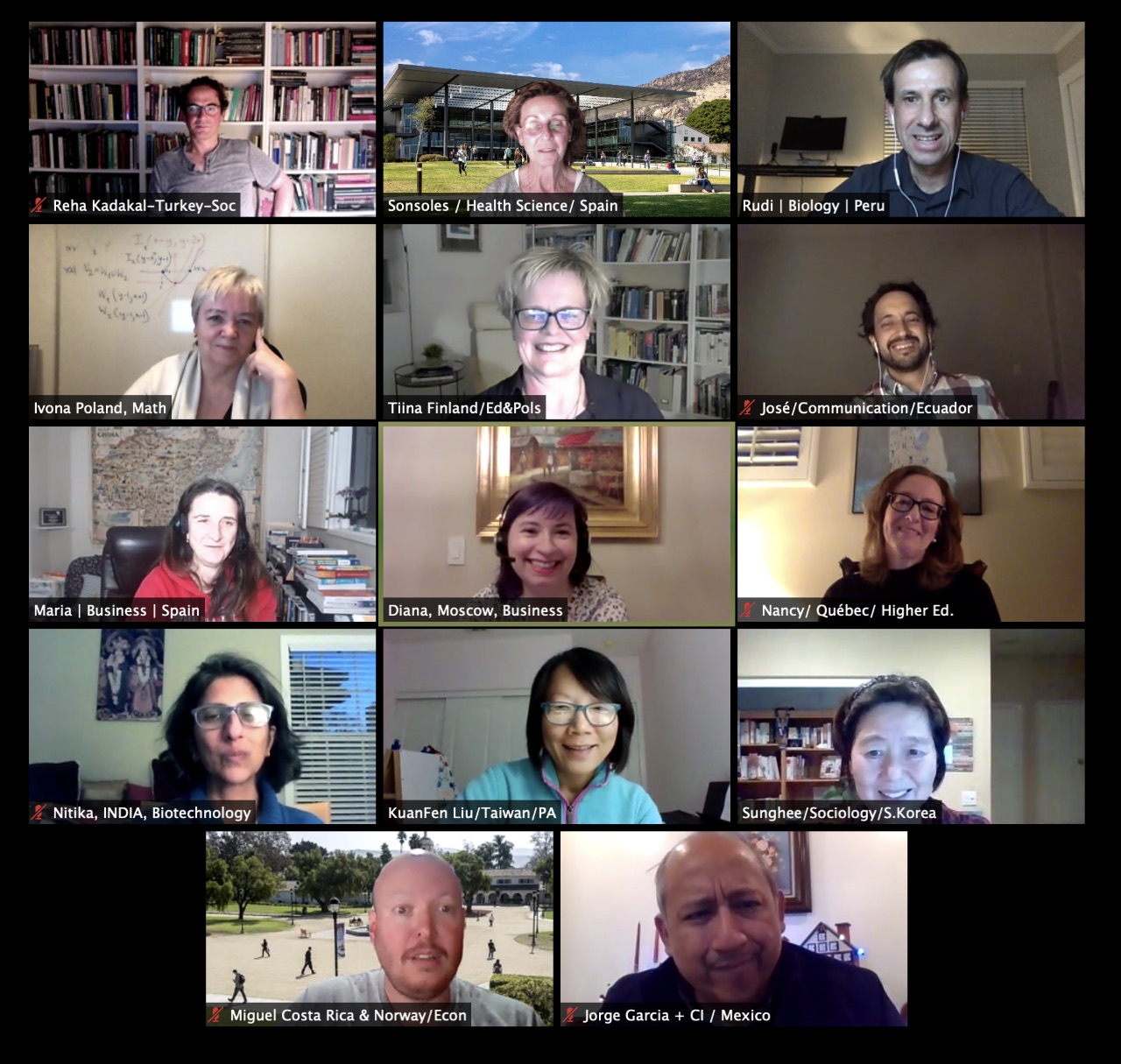 Virtual meeting of IFSA members, December 2020 Virtual meeting of IFSA members, December 2020