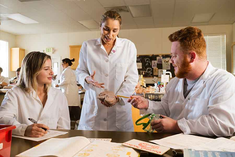 Professor showing students a display