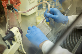 scientific process scientific process