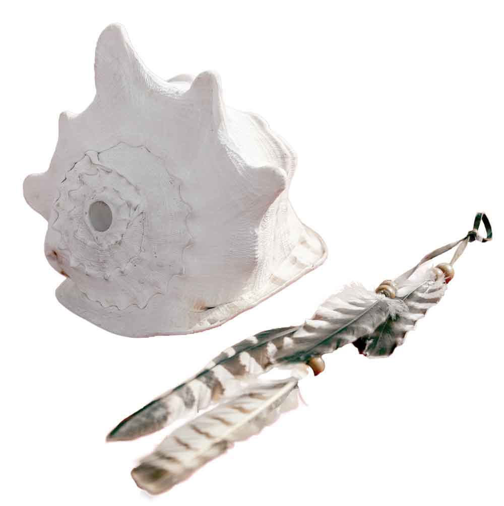 ceremonial Chumash conch and feather