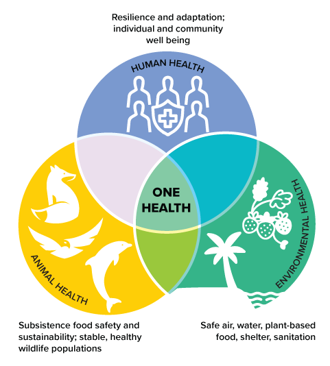 One Health One Health