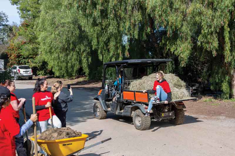 Student volunteers hauled out old hay, cleared mud from a clogged drainage channel, and spent time outdoors and with the therapy horses.
