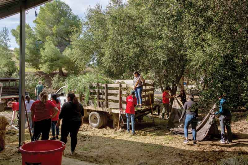 Student volunteers hauled out old hay, cleared mud from a clogged drainage channel, and spent time outdoors and with the therapy horses.