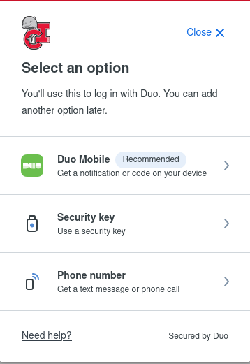 Duo select option