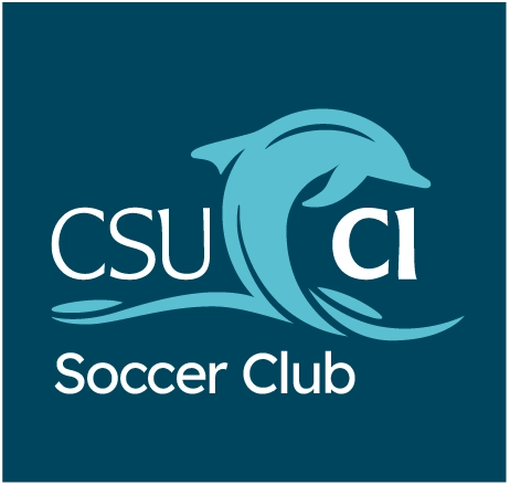 Dolphin extension club 2