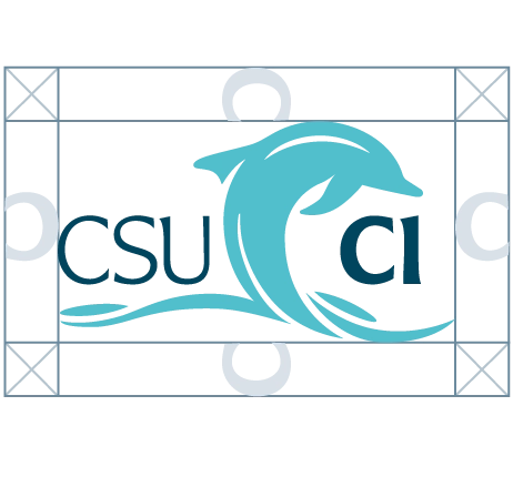 Dolphin logo clear space