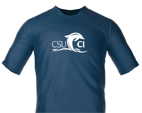 spirit logo t-shirt