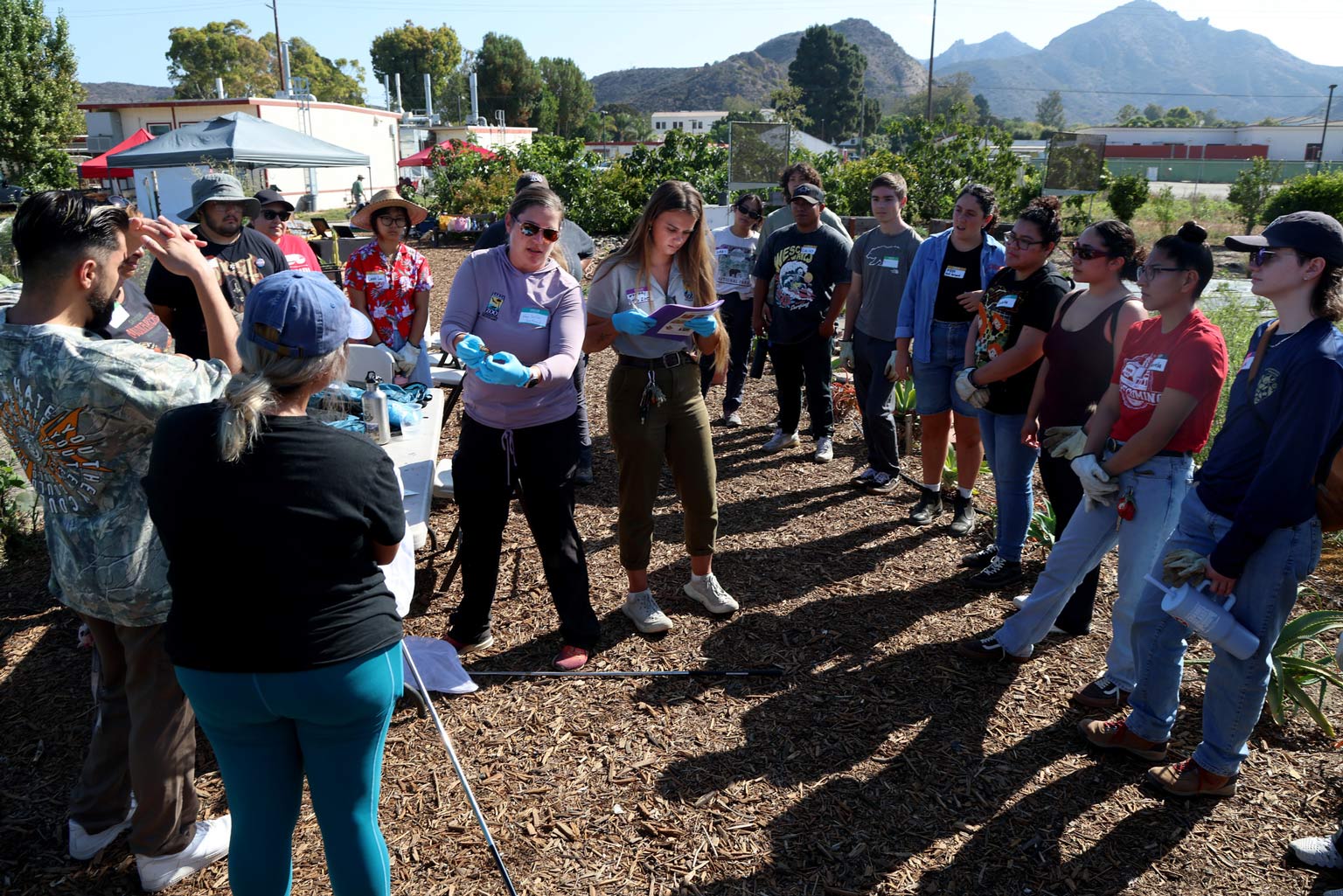Learning about Monarch conservation: Zoo experts demonstrate butterfly tagging for CSUCI students in the Modoc Garden.