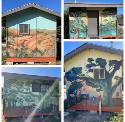 Clous Forest Mural Four sides of old fox hospital on Santa Rosa Island, showcasing Clous Forest Mural.