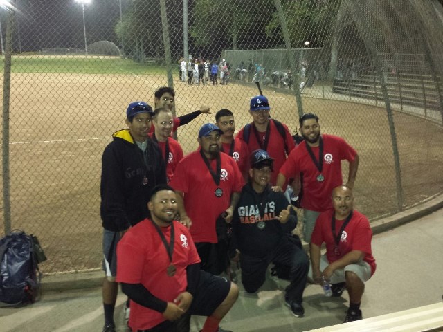 2014 Men's Softball Tema