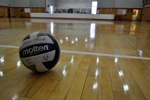 volleyball 